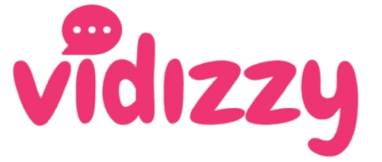 Vidizzy review for random online video conversations